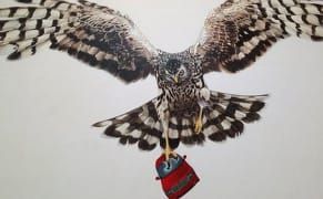 Britain's Hawkish Censorship in Venice