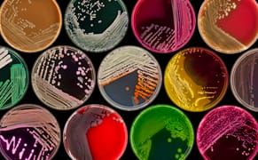 The Hidden Beauty of Disease Under Our Skin