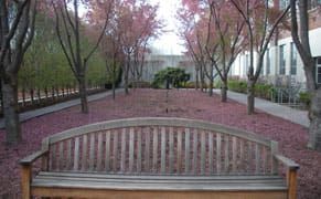 Skewering the Egos of Male Artists at Dia:Beacon