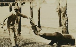 Rare Postcards Reveal Early 20th Century Panoramas