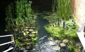 Major New Multifaceted Exhibition Focuses on Ecology and Environmental Issues