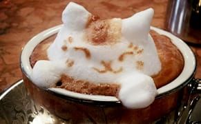 Sculpted from the Foam: A Kitty in Your Coffee Cup