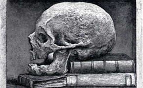 Etched Oddities and a Wandering Skull