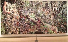 A New World Order for Photography