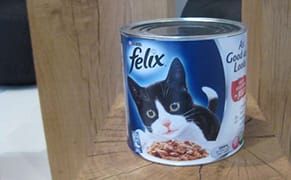 The Universal Addressability of Dumb Things