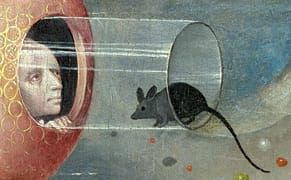 Study: Mice Prefer Kandinsky to Mondrian