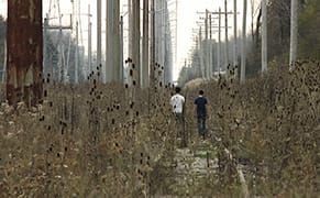 Queer Becomings in a Dystopian World