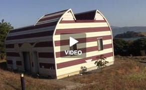 The IRL Land Where Cats Rule