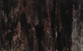 The Formative Formlessness of Cora Cohen