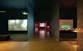 SITE Santa Fe's Attempt to Kill the Biennial