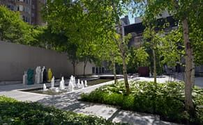 MoMA Turns Their Private Garden into a Public Park for the Mornings