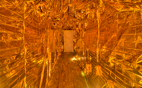 Detritus Blossoms in an Abandoned Nightclub