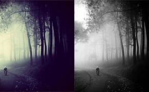 Stolen Shot "Wins" Samsung Photo Contest