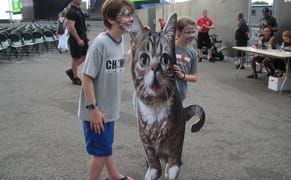 Why Watching Cat Videos with 10,000 People Matters