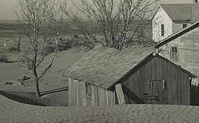 "What Year Are You Interested In?" by Amy Lawless