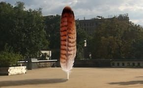 A Feather Falls in Harlem