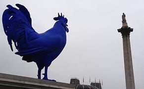The City and the (Giant, Blue) Cock