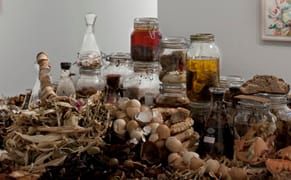 Art Exploring the Worlds of Female Victorian Scientists