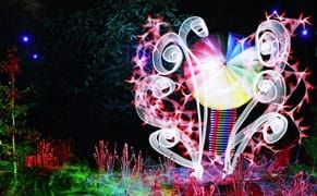 A Photographer Who Paints with Light