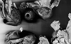 Uptown Downtown: An Art Auction to Benefit the Abrons Arts Center