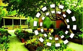 Play (LABS): A Public Art Installation in East Harlem Gardens