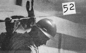 52 Weeks of Art and Human Rights in the Emirates