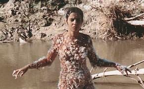 Ana Mendieta's Many Elements