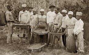 Seeking Humanity in the Barbarity of Brazil's Slave Past