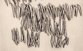 “Eye-Voices, a Choir”: New Translations of Paul Celan