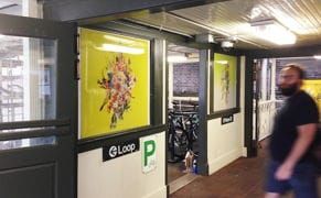 Flowers on the Blue Line