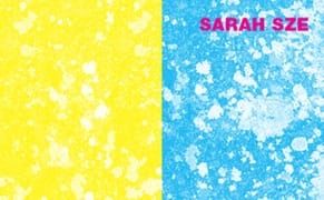 Philadelphia's The Fabric Workshop and Museum Presents New Work by Sarah Sze