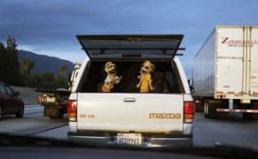 Traffic and the Human Condition