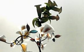 Flowers Grown from the Topography of a Museum