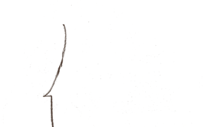 Wandering in a Country Graveyard