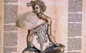 Grotesque and Gorgeous: 100,000 Art and Medicine Images Released for Open Use