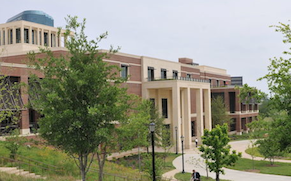 George W. Bush's Aristocratic "Art"