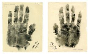 Five Discoveries Among the Eclectic Curiosities of the 2014 Metro Show