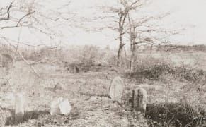 Museum Archive Leads Bronx Students to Forgotten Slave Burial Ground