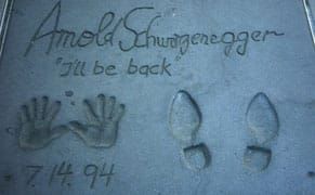 Not Your Average Selfie