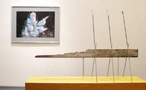 Sculptural Sorcery: Ian Pedigo's Assemblages of the Natural and Manufactured