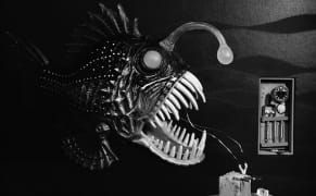 Dioramas Play Up the Unnatural Side of Natural History Museums