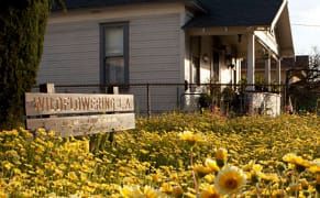 Sowing Wildflowers Across Los Angeles as Hyperlocal Public Art