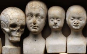 A New Digital Platform for Science in Museums