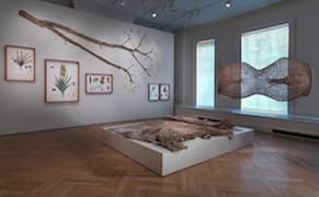 Bard Graduate Center Gallery Presents "Waterweavers: The River in Contemporary Colombian Visual & Material Culture"