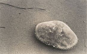 Searching for Jay DeFeo (Again)