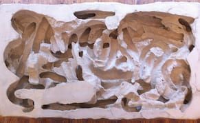 A Viral Longing: Anna Maria Maiolino's Art of Dislocation