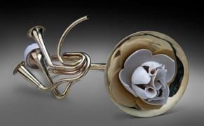 Meditations from the Middle