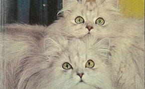 Cat Photography Before the Internet