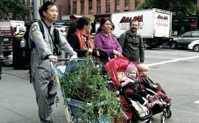 How Soon Is Now? A Precarious Environment Roots in Art