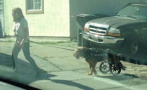 In a Brooklyn Gallery, Yale Meets Instagram